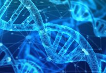 “Co-op” lets users Barter DNA and Health Information for Shares